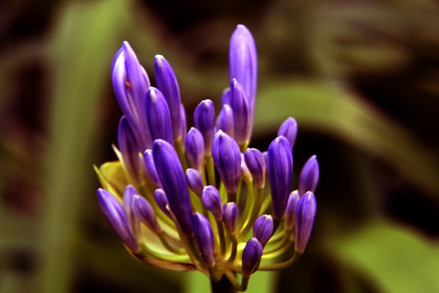 对于快船管 对于快船管