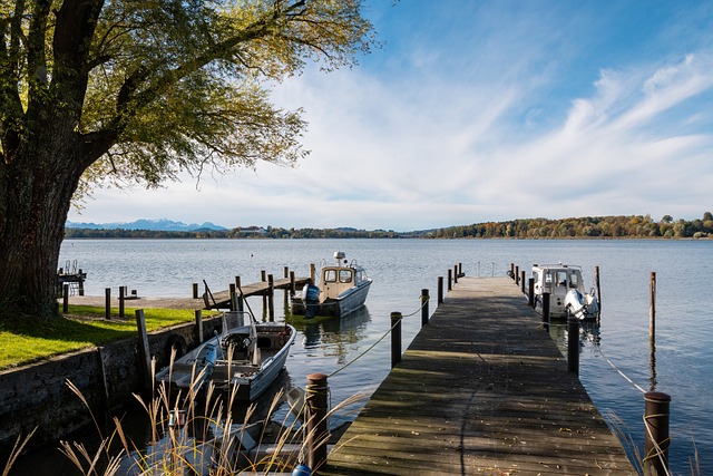 主力球员体 主力球员体