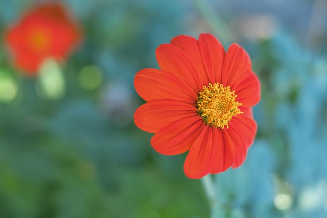 特别是在面 特别是在面