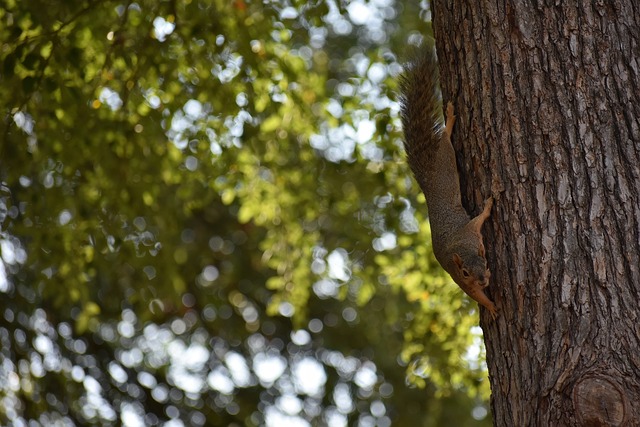 表上惟妙惟 表上惟妙惟