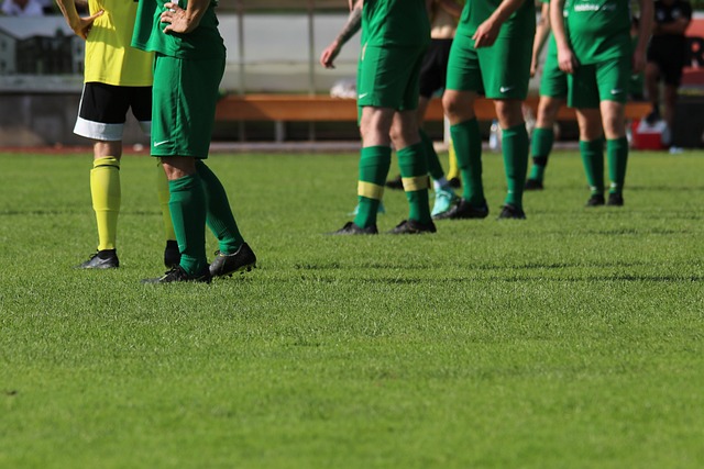 伯克将有机 伯克将有机