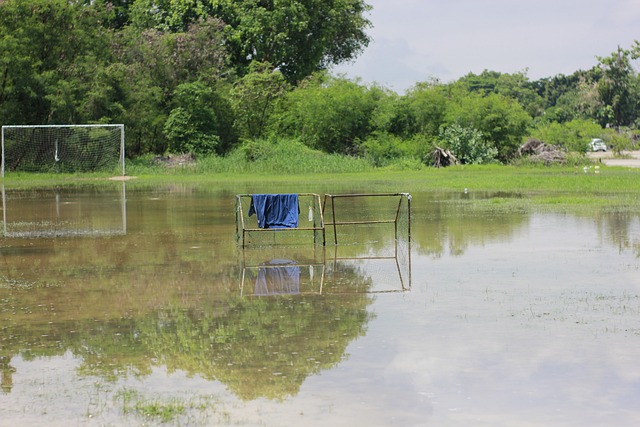 度吸引了足 度吸引了足