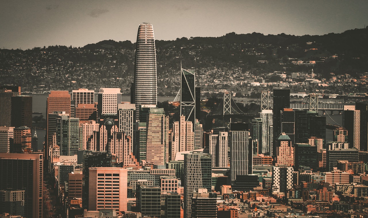 无疑引发了 无疑引发了