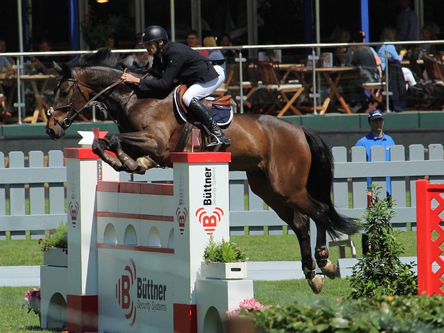 谁都有机会 谁都有机会