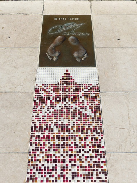 光投向裁判 光投向裁判