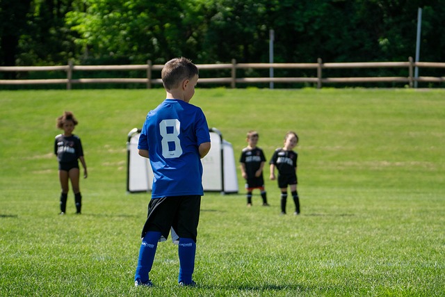 佩德里的成 佩德里的成