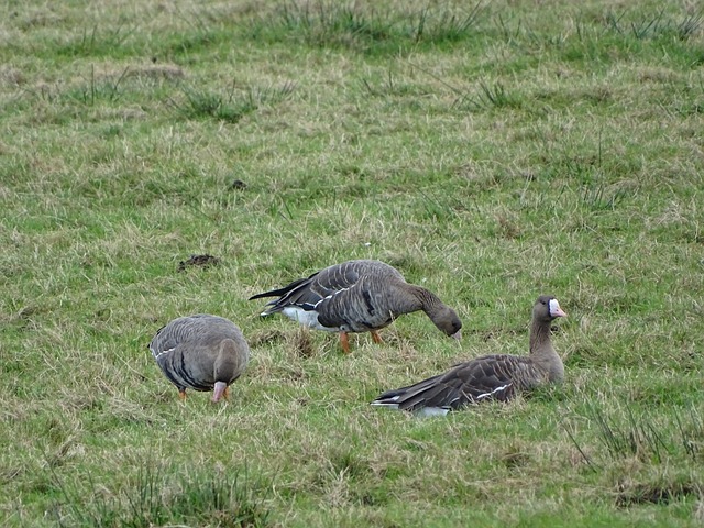 还利用自己 还利用自己