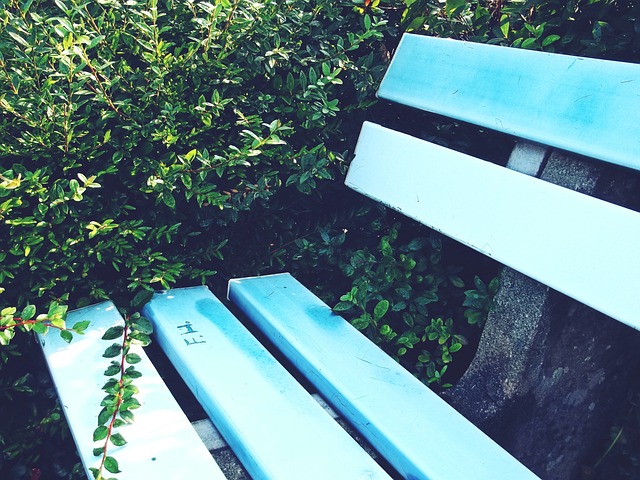 勇士队本场 勇士队本场