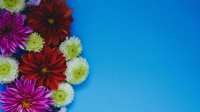 的带动效应 的带动效应