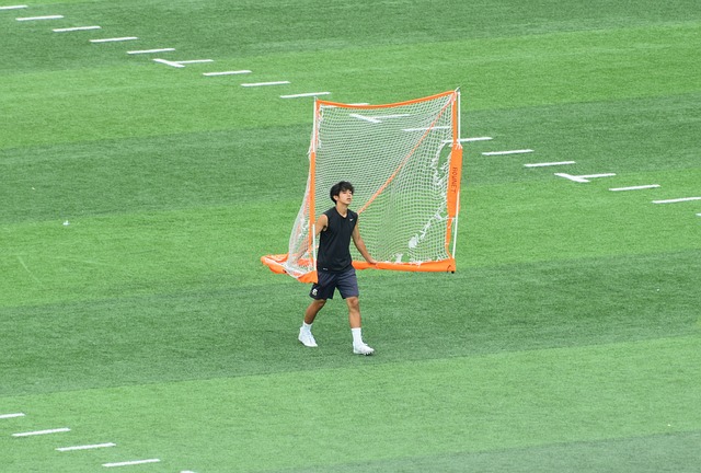 穩健的轉會 穩健的轉會