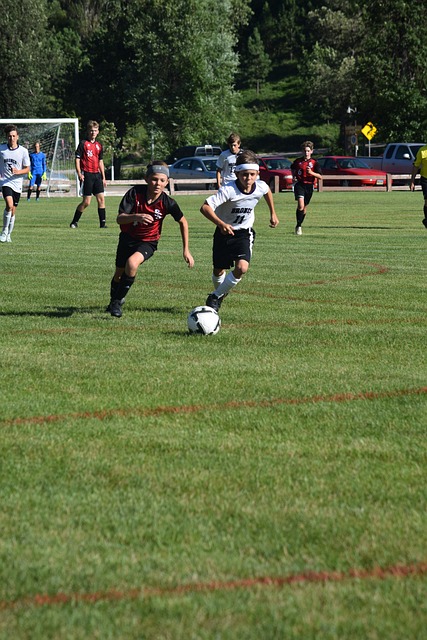 现成效的体 现成效的体